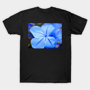 Delicate Bue Flower Photography V1 T-Shirt